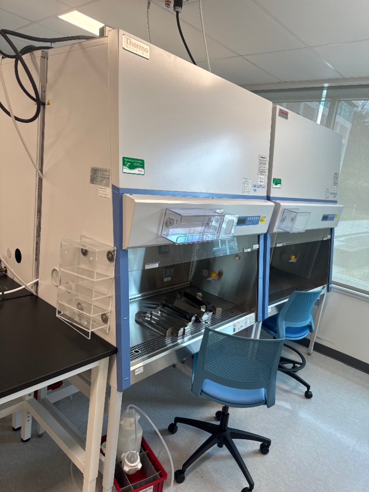Image of Thermo 1300 Series A2 4' BioSafety Cabinet